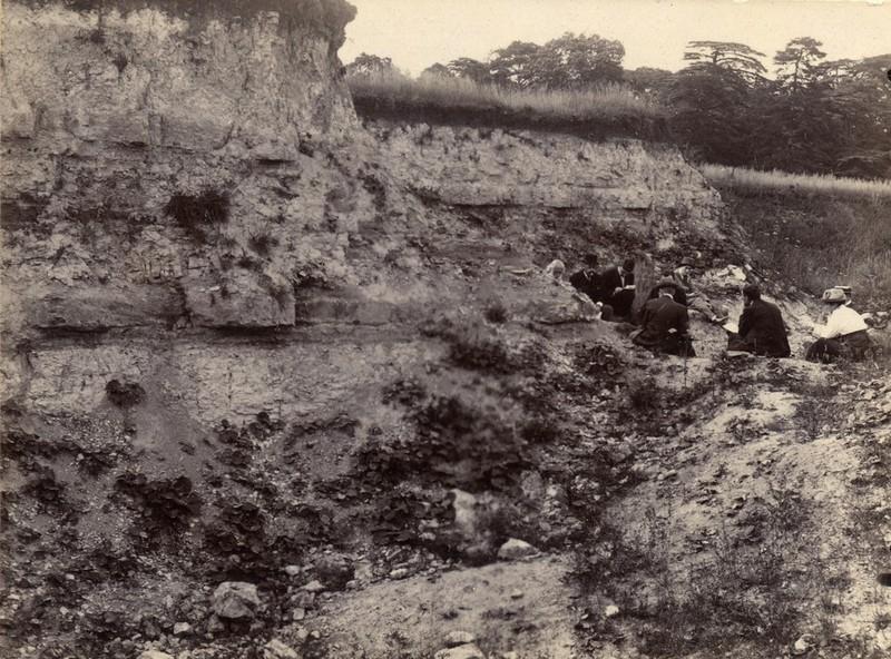 At one time, as seen here, Bugle Pit, Hartwell, was the best exposure of Purbeck Formation in the county. It is now severely degraded